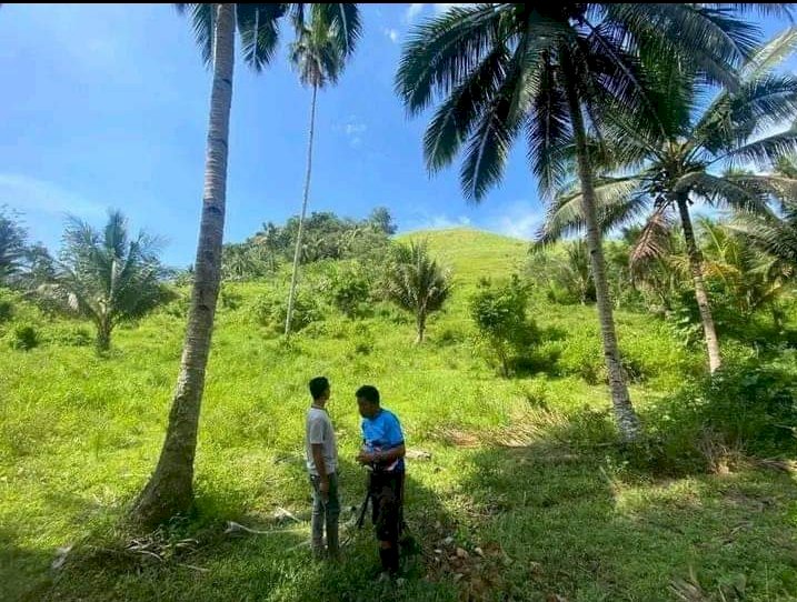 DI JUAL TANAH DAERAH LIKUPANG MINAHASA UTARA SULAWESI UTARA