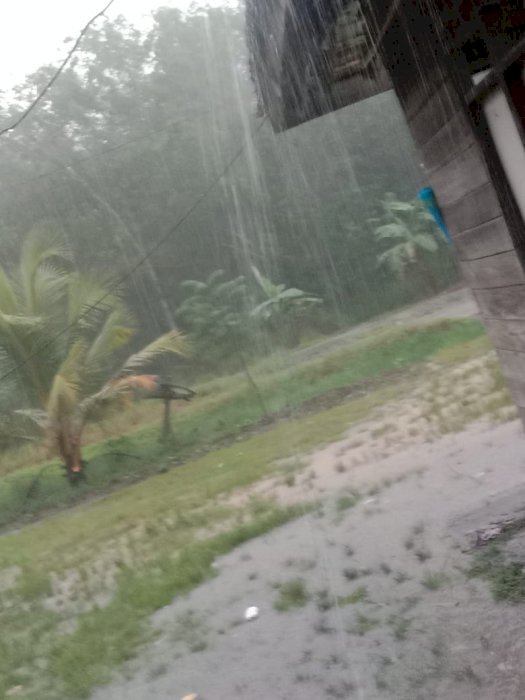 Jual tanah kebun murah'