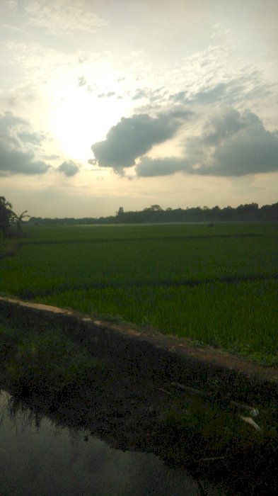 Dijual lahan zona kuning (zona perumahan)