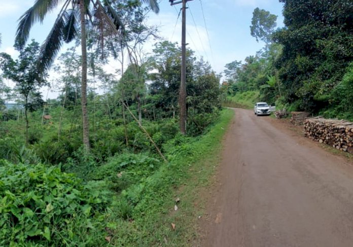 Tanah dipinggir jalan