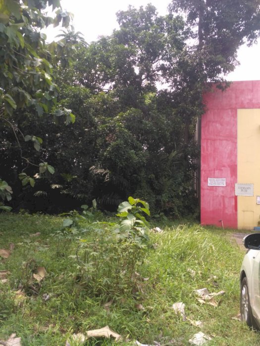 DIJUAL TANAH MURAH LOKASI STRATEGIS DI JEMBER JAWA TIMUR