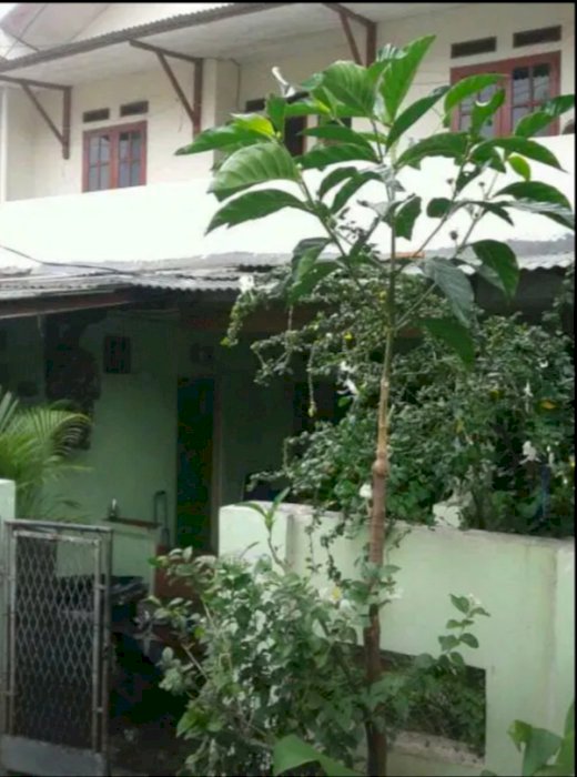 Jual rumah cocok buat kos kosan