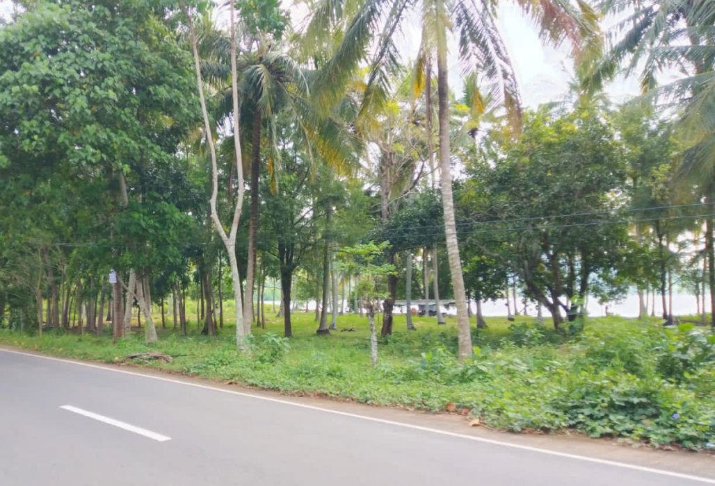 Dijual tanah pinggir jalan los pantai