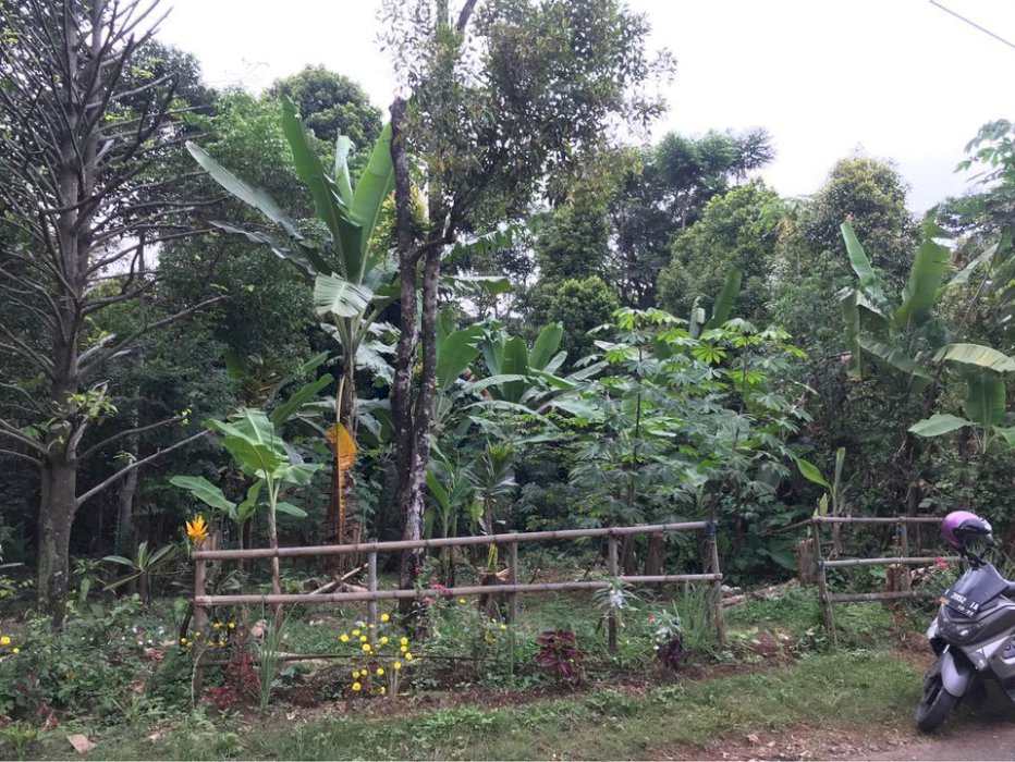 JUAL TANAH PINGGIR JALAN DESA