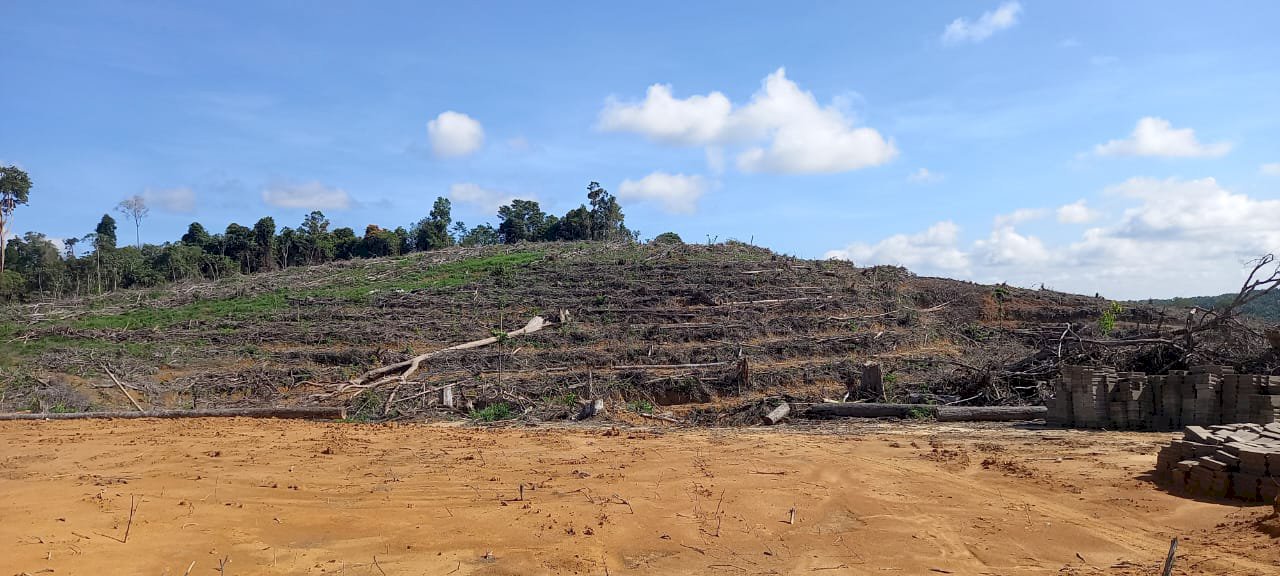 DIJUAL LAHAN PERKEBUNAN
