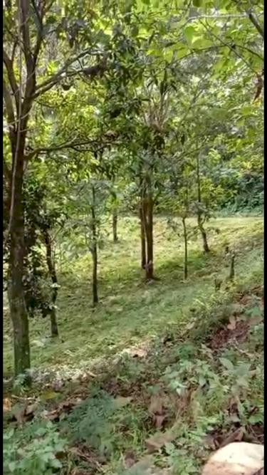 Jual Tanah Luas +3 ha