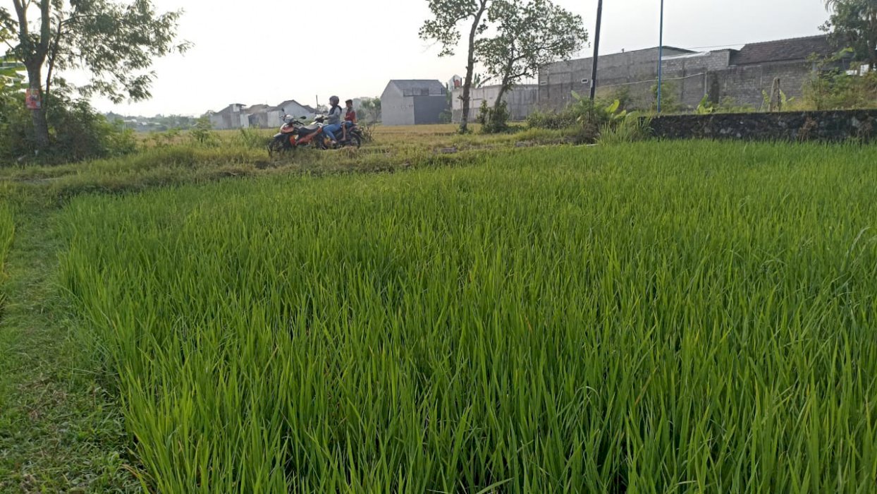 Tanah dengan luas 2661 m2 lebar 14,6 panjang 182,3