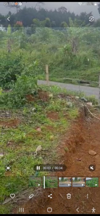 Tanah kosong pinggir jalan alternative