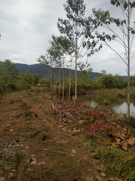 Di jual tanah kosong bersertifikat cocok untuk perumahan,mall, hotel,,