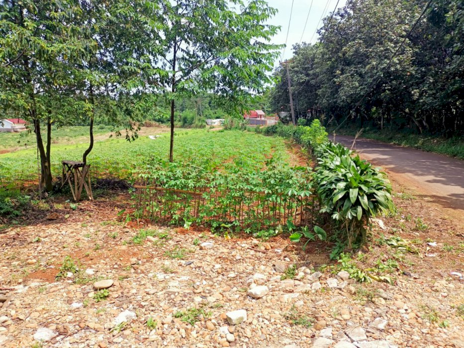 DIJUAL TANAH MURAH DAN LUAS LOKASI STRATEGIS DI JONGGOL BOGOR