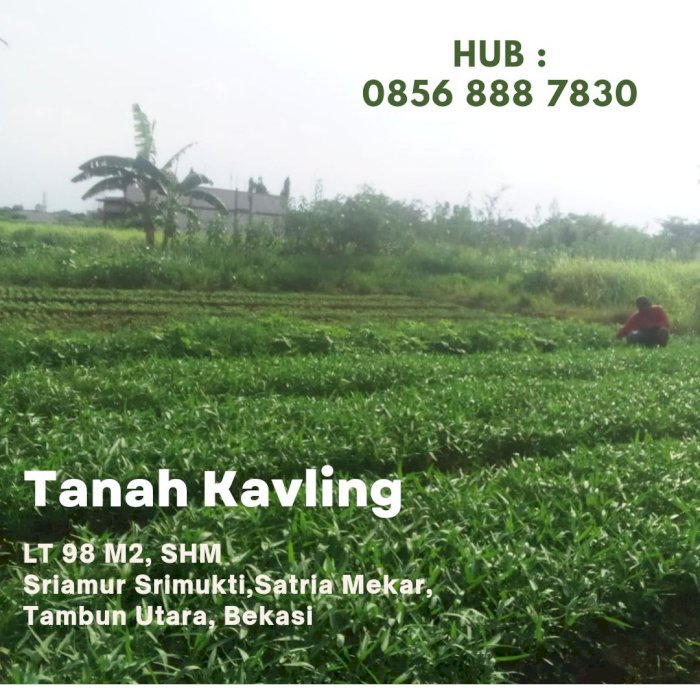 Jual Cepat Tanah Kavling di Bekasi