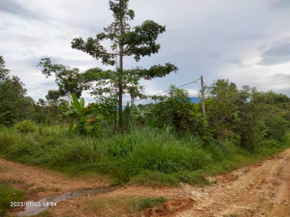 Jual tanah shm lokasi strategis