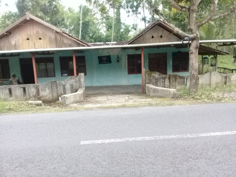 Dijual tanah 3 hektar daerah gunung kidul