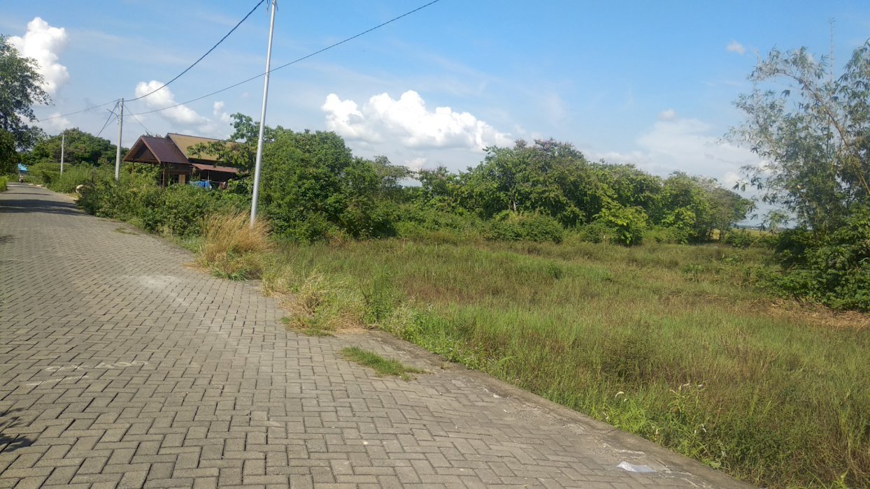 Jual cepat Tanah murah pinggir jalan
