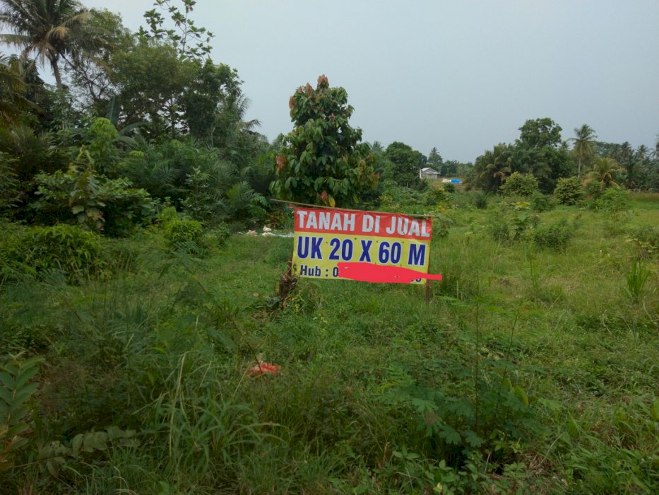 Tanah Pekarangan Punggur Lampung Tenga