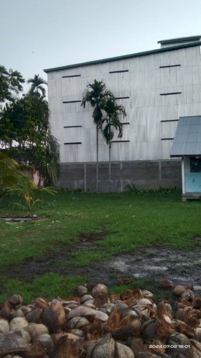 Dijual gedung walet beserta tanah di kabupaten Indragiri hilir