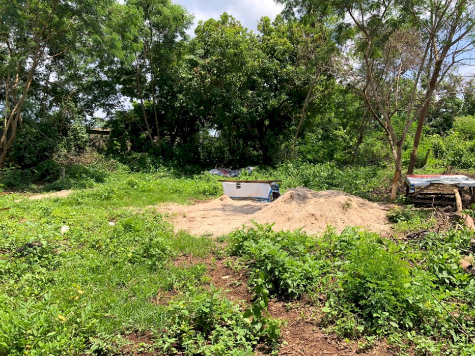 Dijual tanah di kabupaten kepulauan Tanimbar .Maluku