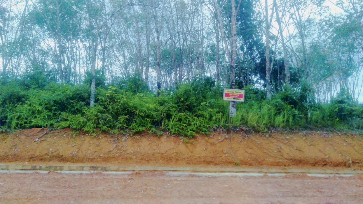Dijual tanah seluas 13.000 mÂ² di Tabalong, lokasi strategis