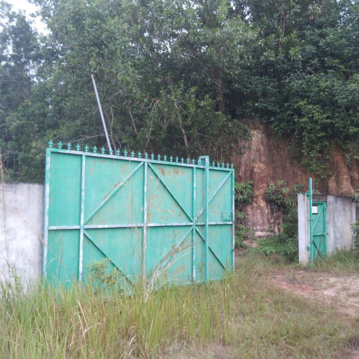 Tanah bekas perternakan sapi