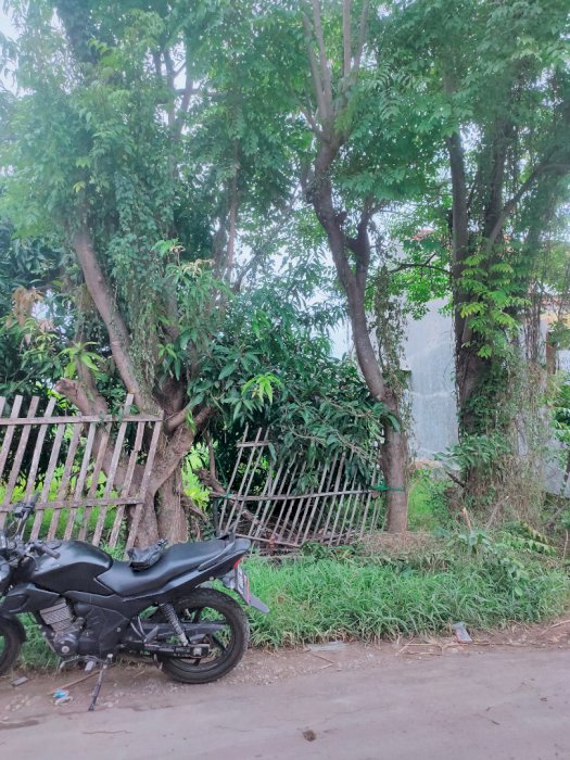 JUAL TANAH SAWAH DEKAT DGN KAWASAN INDUSTRI