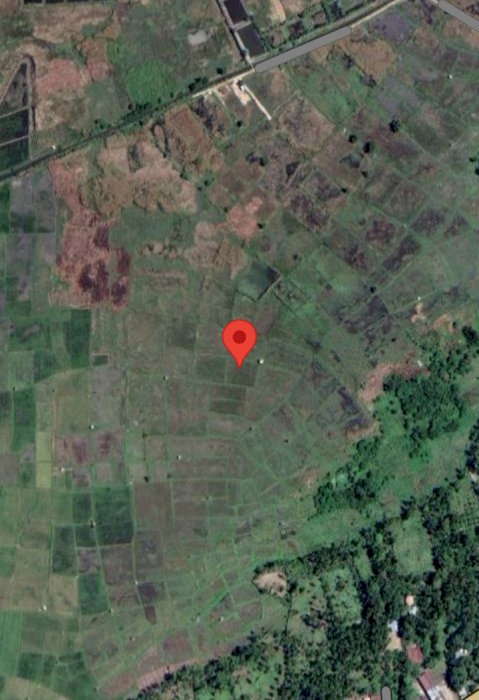 Di jual sawah cepat