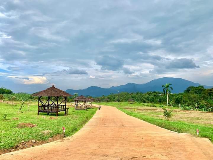 Tanah Kampung View Gunung