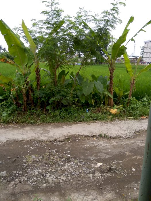 Jual tanah murah strategis di tengah kota