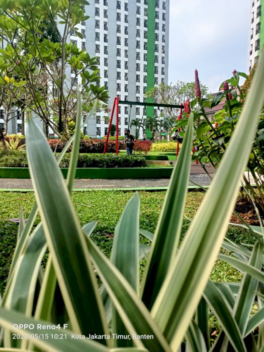 APARTEMEN GREEN LAKE VIEW SEWA HARIAN dan BULANA