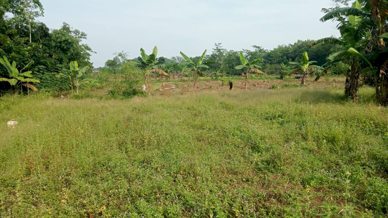 Di jual Tanah di parung