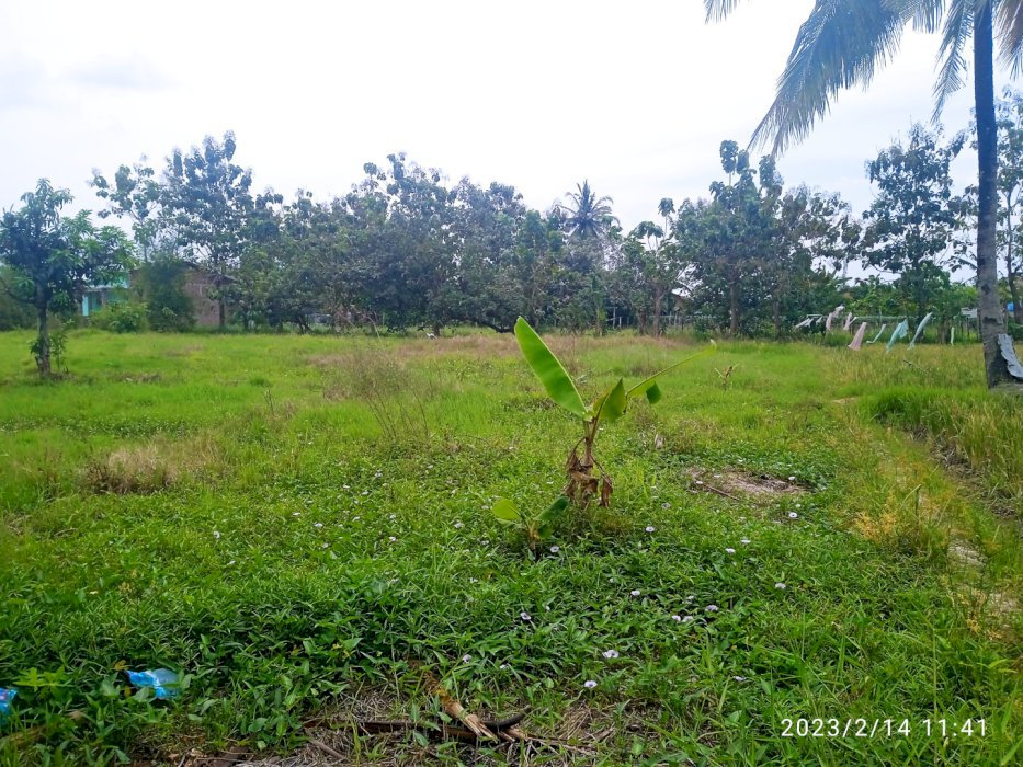 Di Jual Tanah Darat Murah