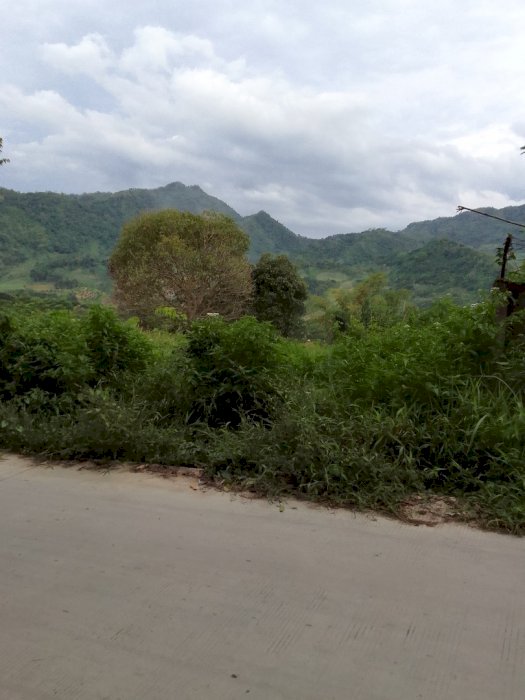 Di jual cepat tanah adat