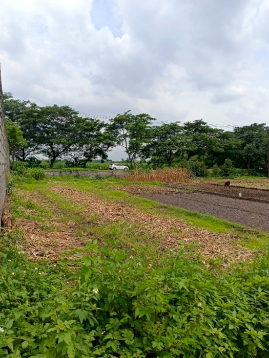 DIJUAL TANAH (LAHAN INDUSTRI) LOKASI SANGAT STRATEGIS (NOL JALAN UTAMA