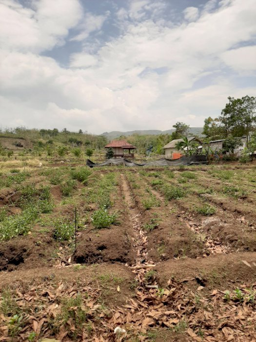 Di jual murah aj tanah garut selatan rancabuaya