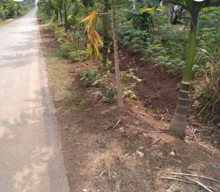 JUAL TANAH STRATEGIS SUKOHARJO PRINGSEWU