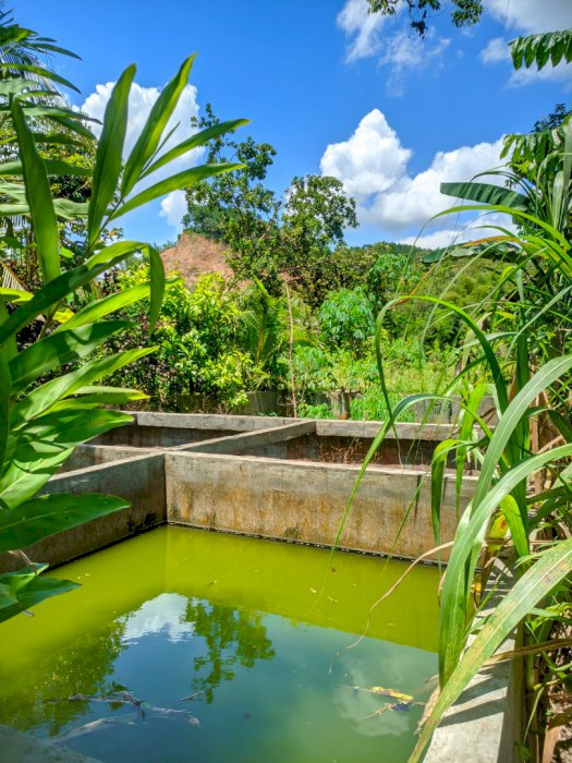 Tanah SHM 485 35 ru lokasi tugu Trenggalek Jawa timur
