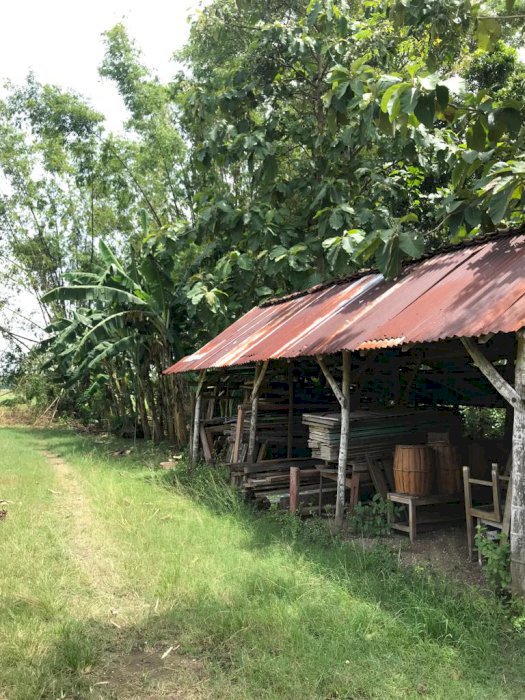 Dijual Tanah . Jalan. Plandaan (Ngemplak)-Jombang-Jawa timur.