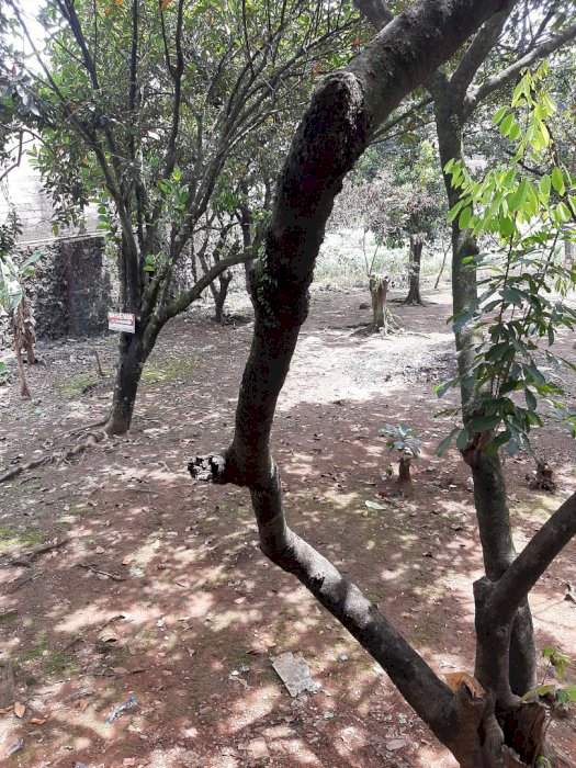 DISEWA tanah = 3.185 m2 Di Jl Soleh Iskandardinata @ RP 500 JT/TH NEGO