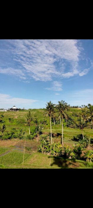 Di jual tanah cocok untuk villa di desa punggul abiansemal.