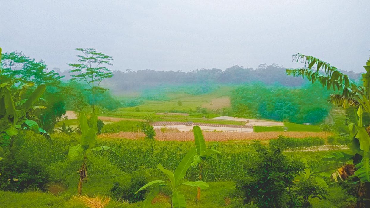 Jual tanah alas desa