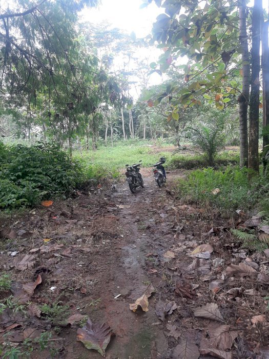 Disewa Tanah = 1.700 M2 @ 300 JT/TH berlamatkan Jl Baru Soleh Iskandar