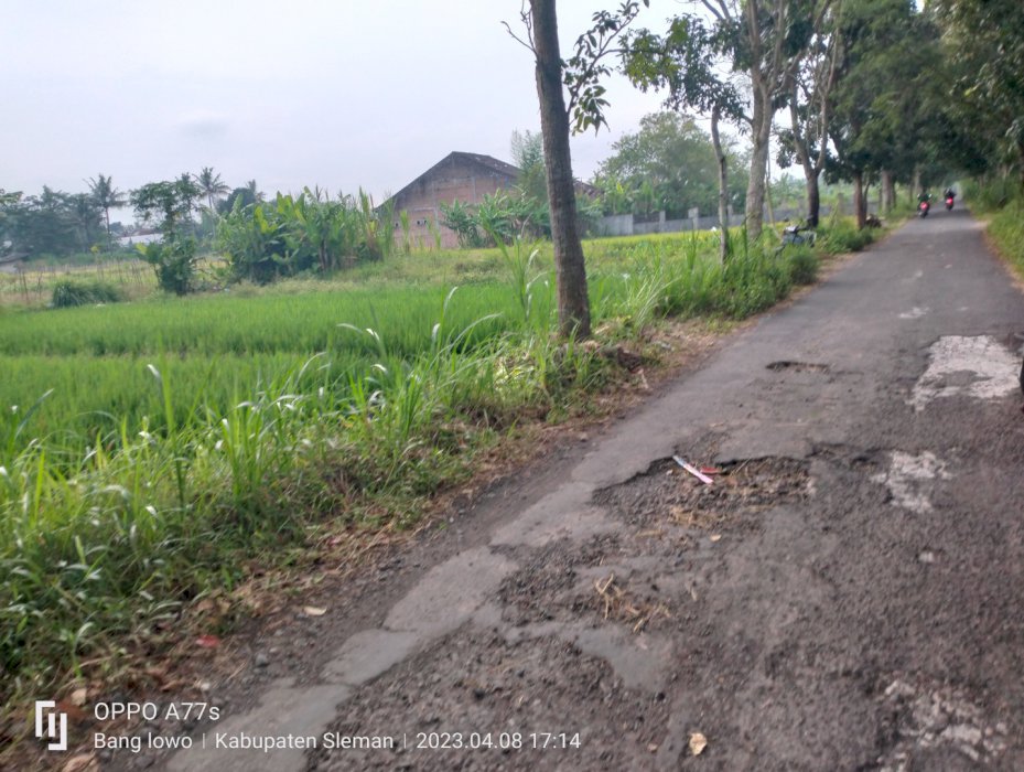 Djual Tanah Sawah dekat rumah kecebong Cebongan Mlati Sleman
