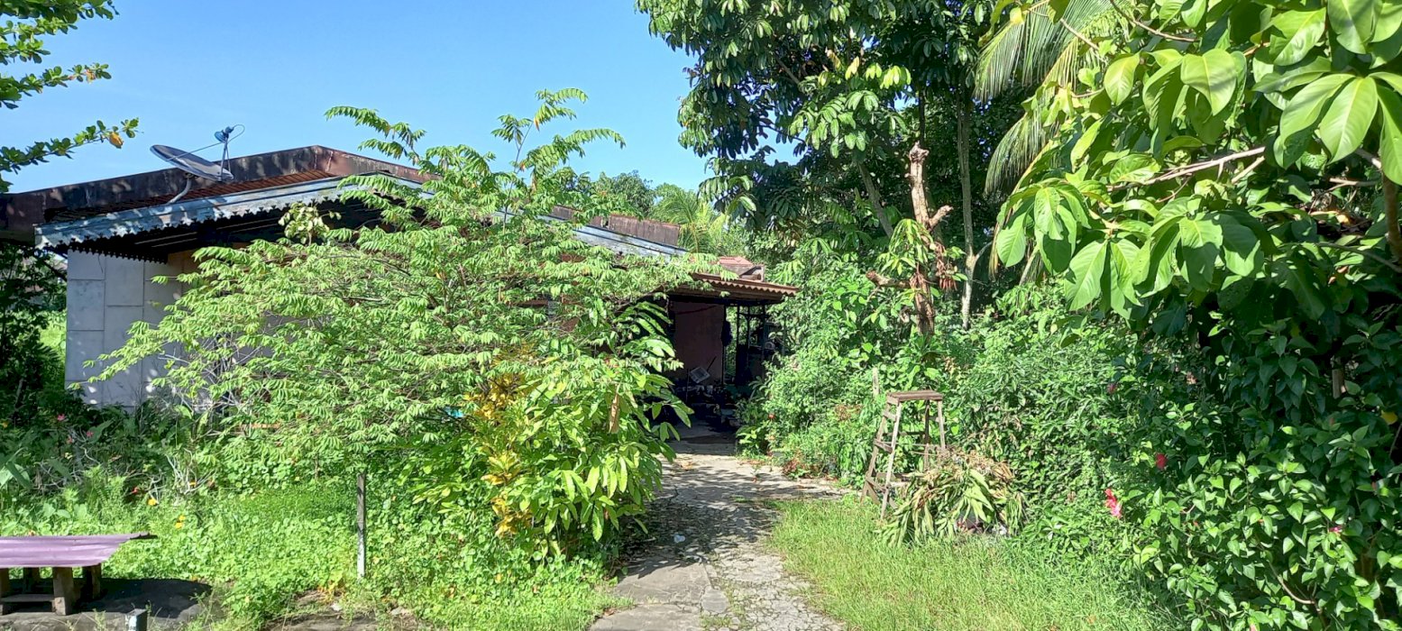 Jual Tanah Pinggir Jalan