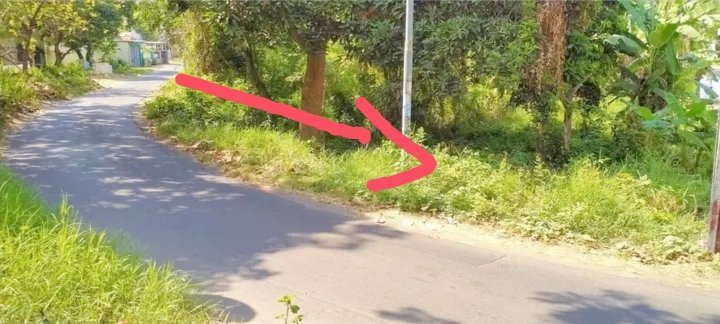 Jual tanah pekarangan