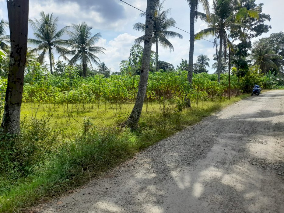 Jual Tanah Lokasi Strategis