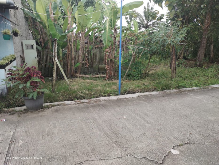 Dijual tanah pekarangan datar siap bangun