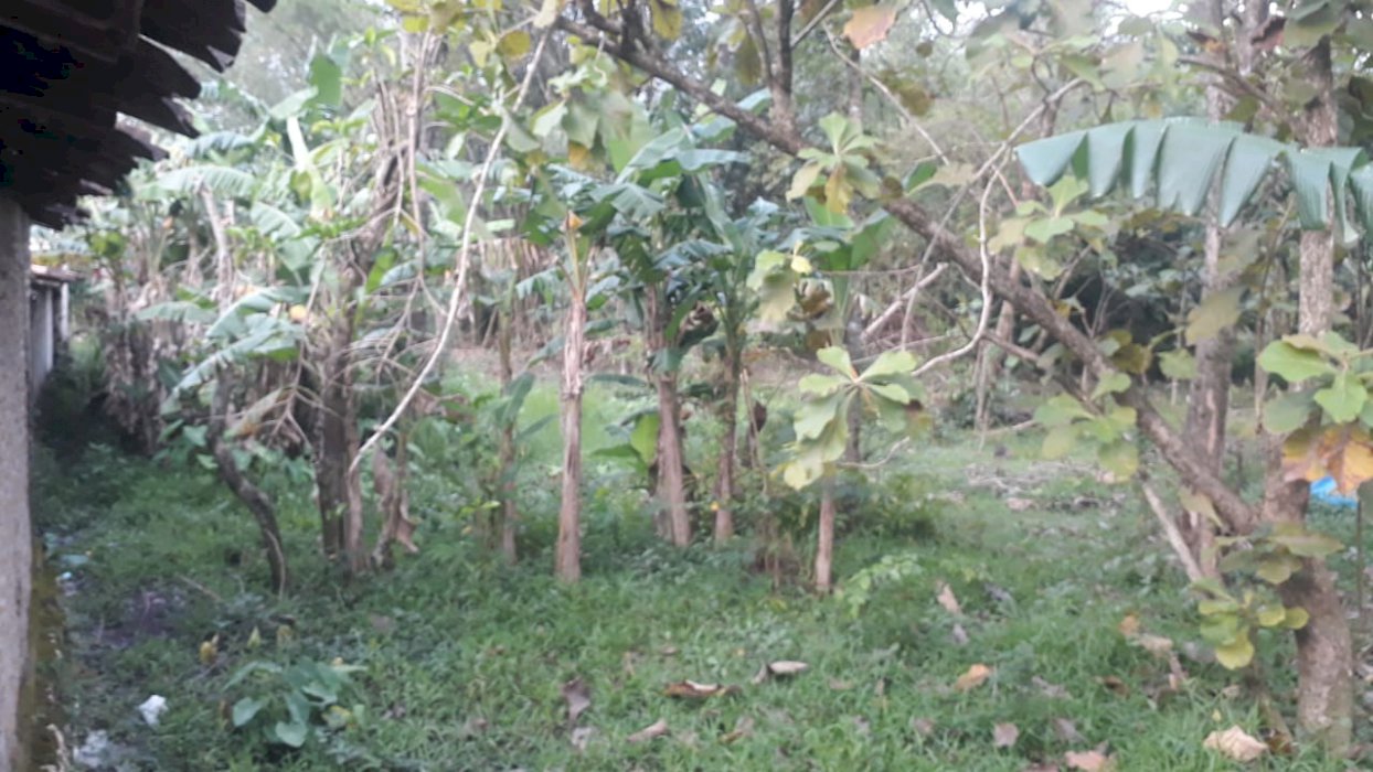 Dijual tanah 450m² Daerah jawa tengah .