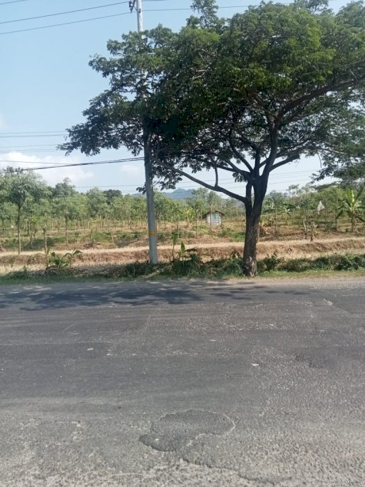 Tanah seluas 1,5-20 Ha