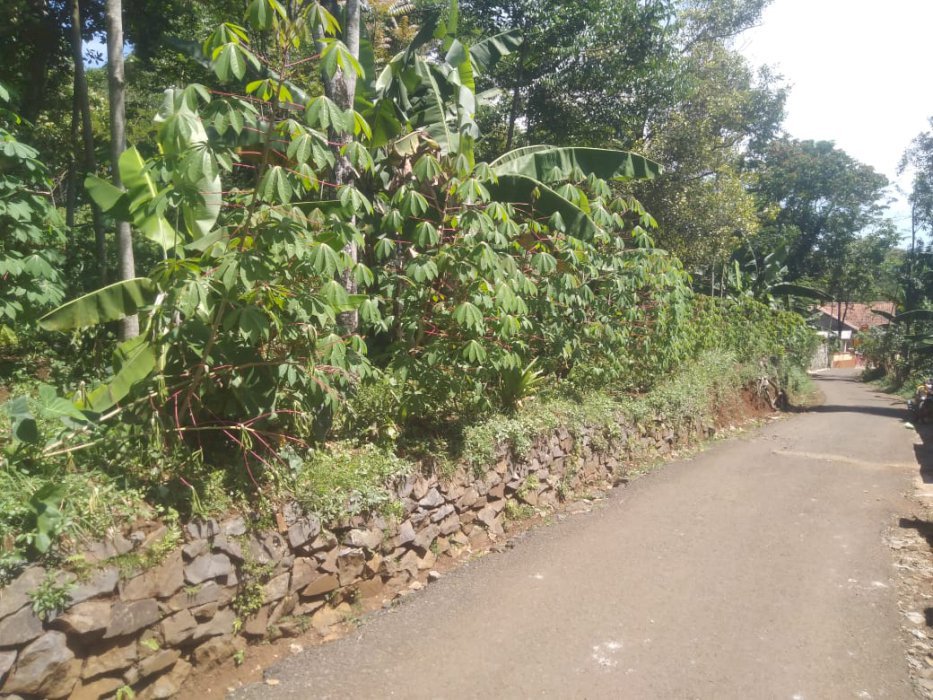 jual tanah buat kapling perumahan tempat usaha
