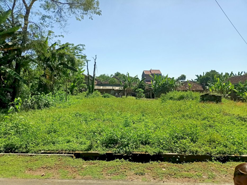 Bismillaah Dijual Tanah Di Sukoharjo luas 567mÂ² -+(15x37)m