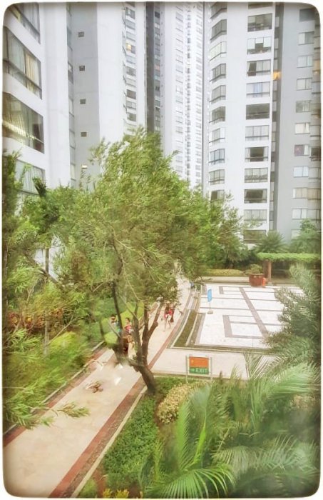 Dijual Unit Sudut 2 kamar tidur Park View di Taman Anggrek Condominium